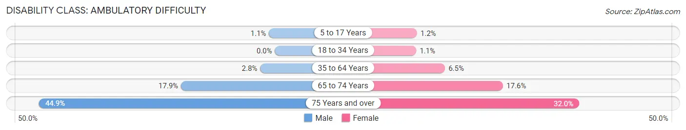 Disability in Niceville: <span>Ambulatory Difficulty</span>