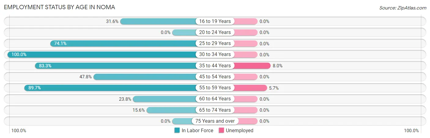 Employment Status by Age in Noma