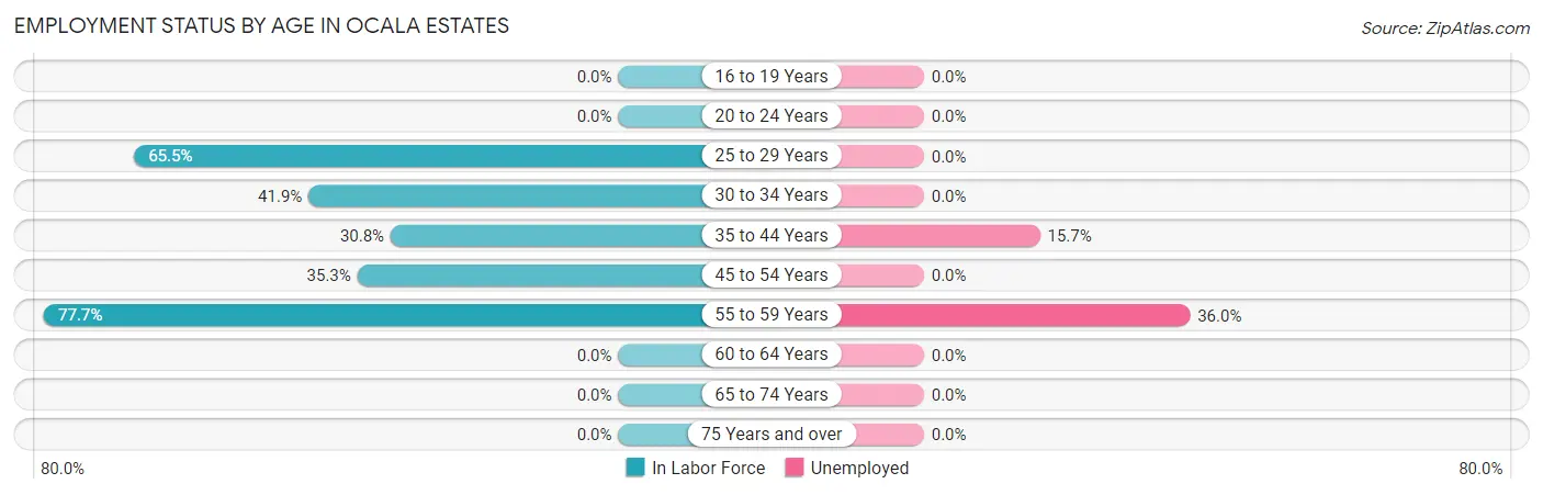 Employment Status by Age in Ocala Estates