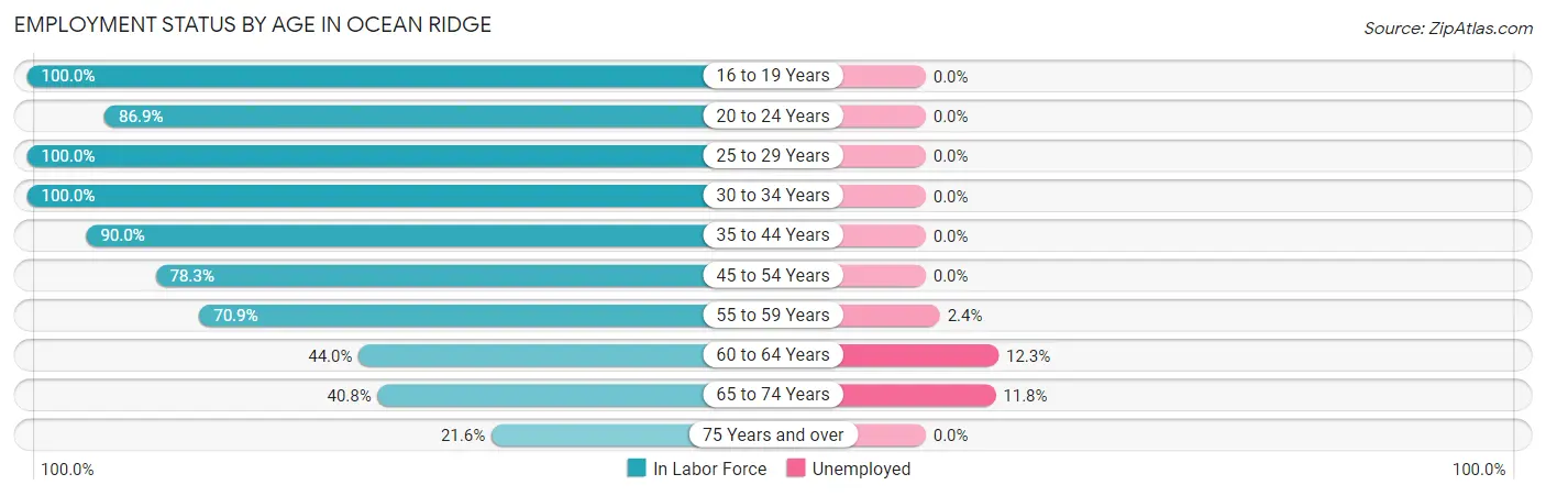 Employment Status by Age in Ocean Ridge