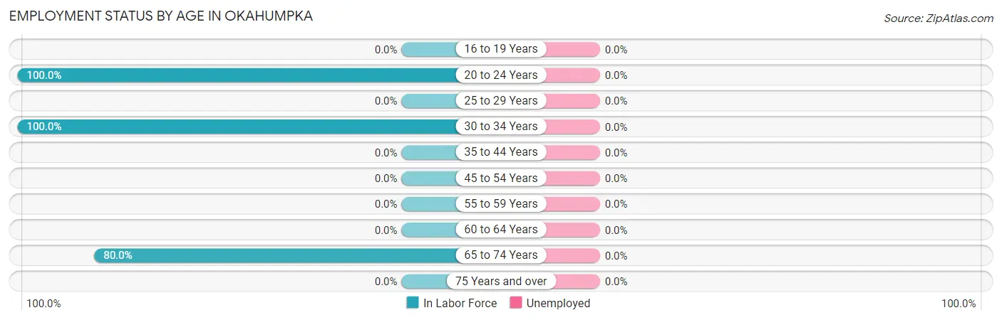 Employment Status by Age in Okahumpka