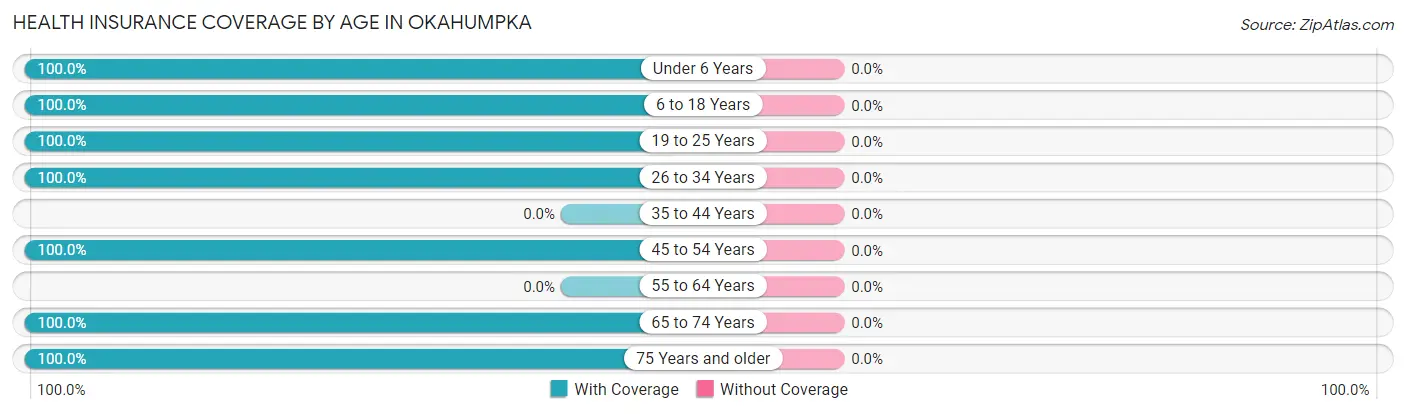 Health Insurance Coverage by Age in Okahumpka