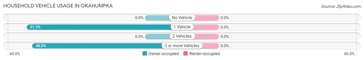 Household Vehicle Usage in Okahumpka