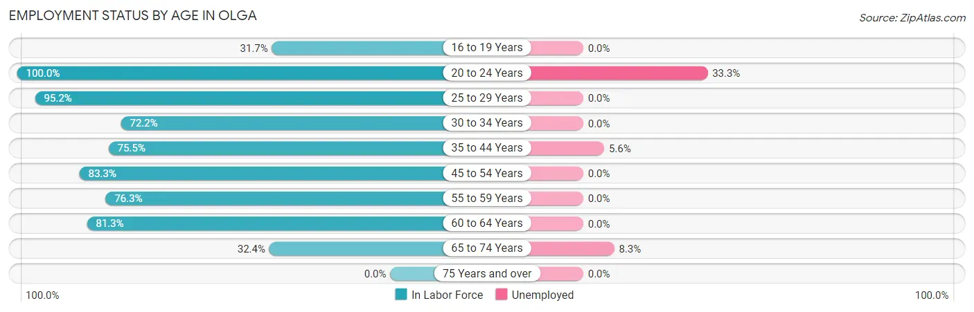 Employment Status by Age in Olga