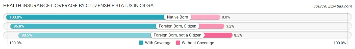 Health Insurance Coverage by Citizenship Status in Olga