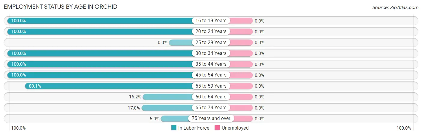 Employment Status by Age in Orchid