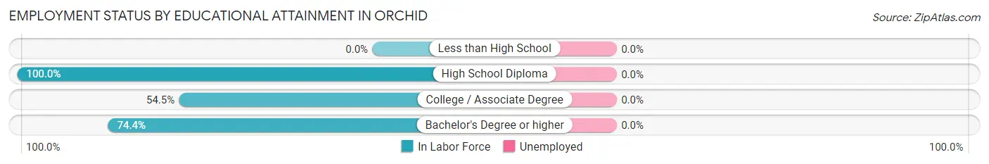 Employment Status by Educational Attainment in Orchid