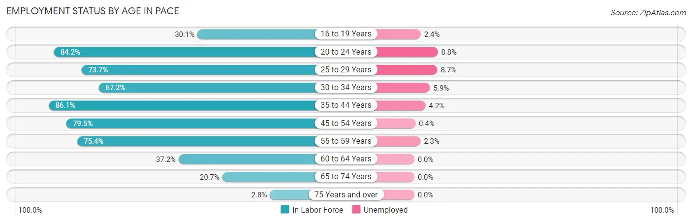 Employment Status by Age in Pace