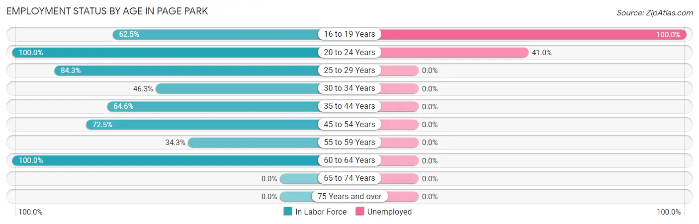 Employment Status by Age in Page Park