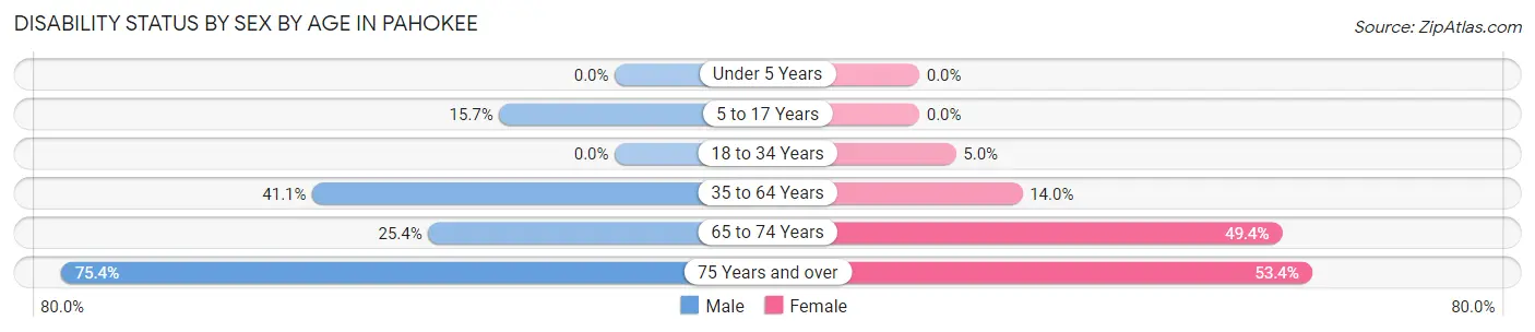 Disability Status by Sex by Age in Pahokee