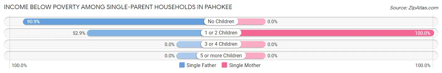 Income Below Poverty Among Single-Parent Households in Pahokee