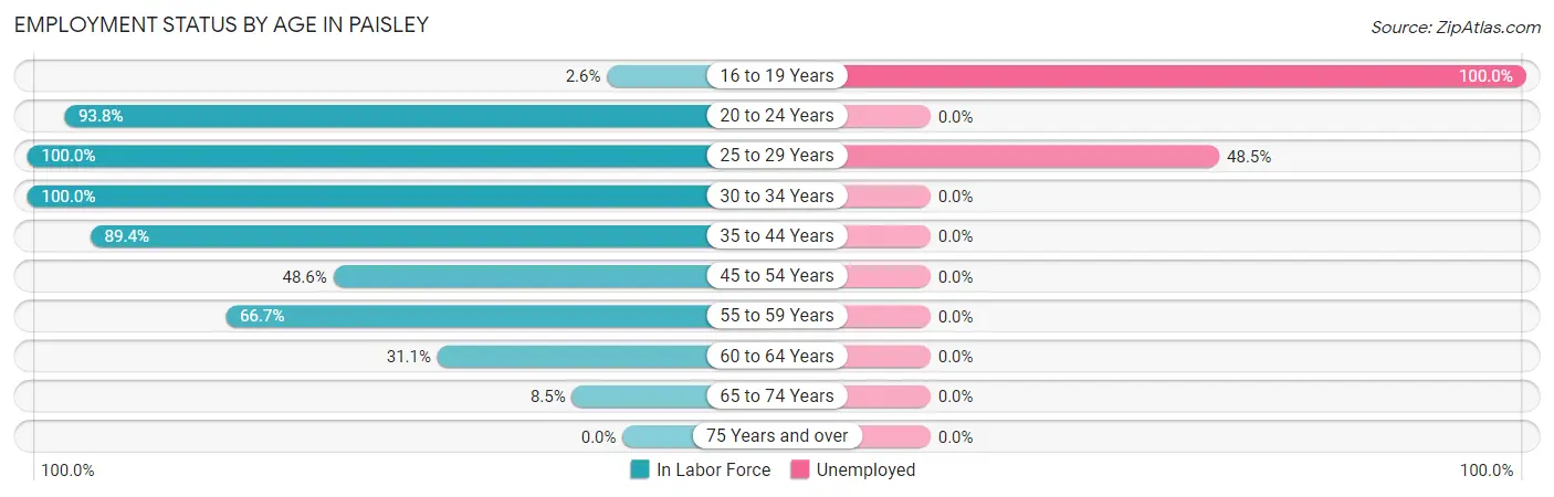 Employment Status by Age in Paisley