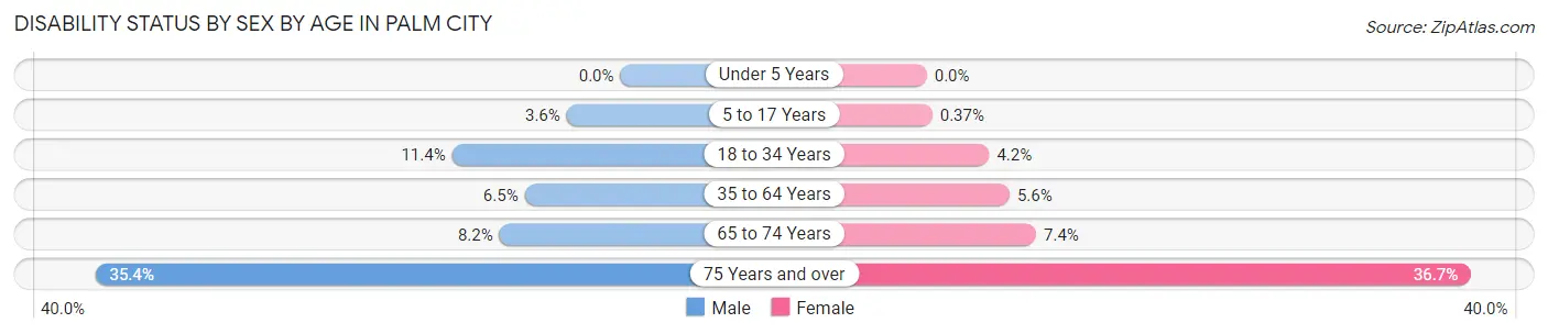 Disability Status by Sex by Age in Palm City