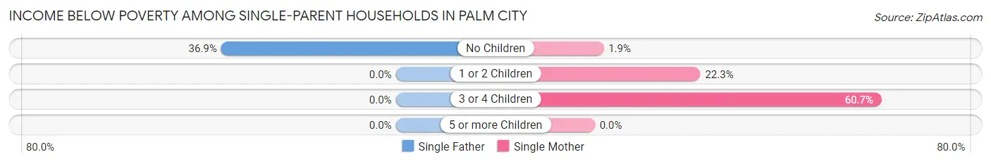 Income Below Poverty Among Single-Parent Households in Palm City