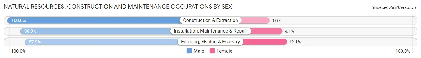 Natural Resources, Construction and Maintenance Occupations by Sex in Palm Springs