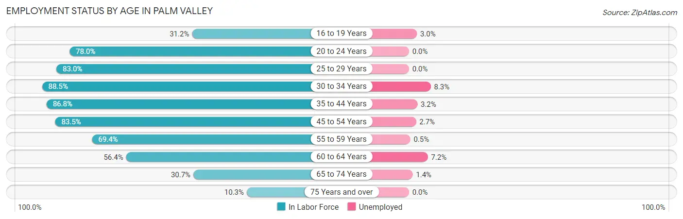 Employment Status by Age in Palm Valley