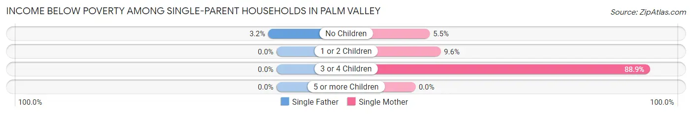 Income Below Poverty Among Single-Parent Households in Palm Valley