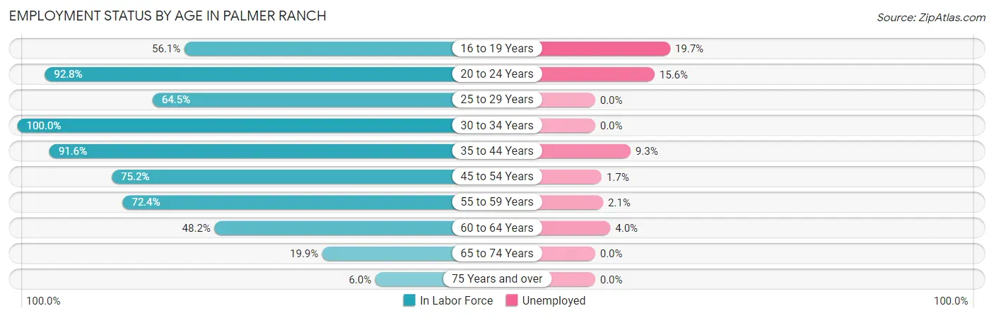 Employment Status by Age in Palmer Ranch