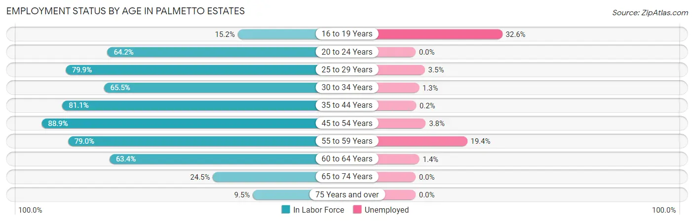 Employment Status by Age in Palmetto Estates