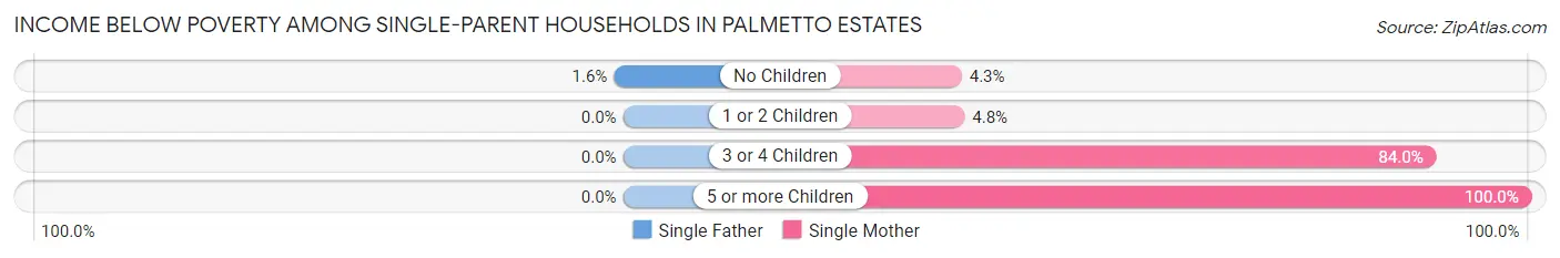 Income Below Poverty Among Single-Parent Households in Palmetto Estates