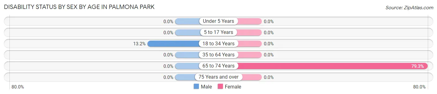 Disability Status by Sex by Age in Palmona Park