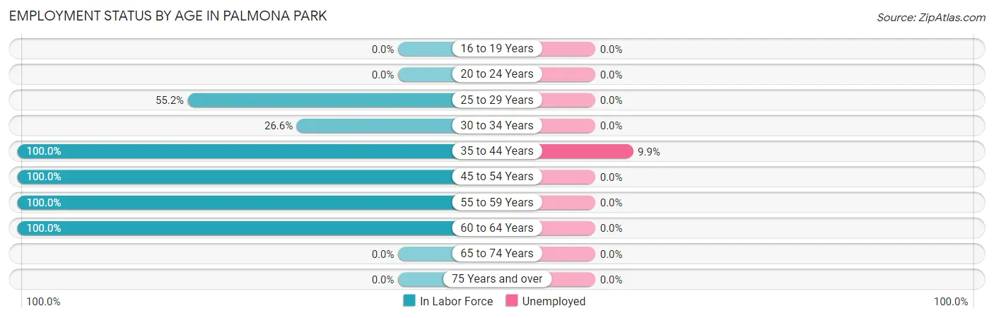 Employment Status by Age in Palmona Park