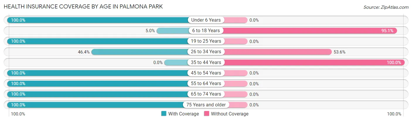 Health Insurance Coverage by Age in Palmona Park