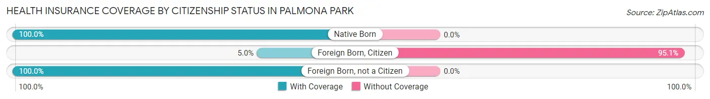 Health Insurance Coverage by Citizenship Status in Palmona Park