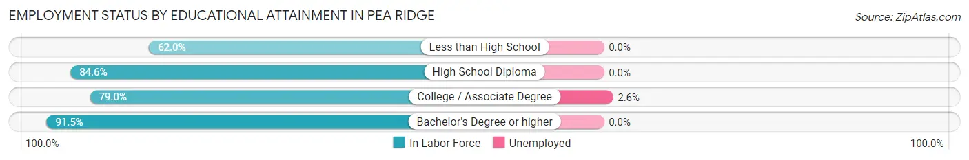 Employment Status by Educational Attainment in Pea Ridge