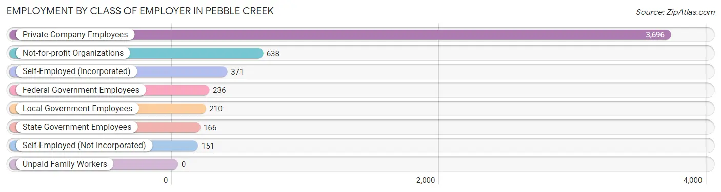 Employment by Class of Employer in Pebble Creek