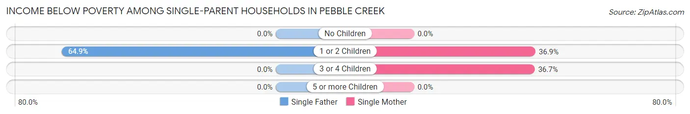 Income Below Poverty Among Single-Parent Households in Pebble Creek