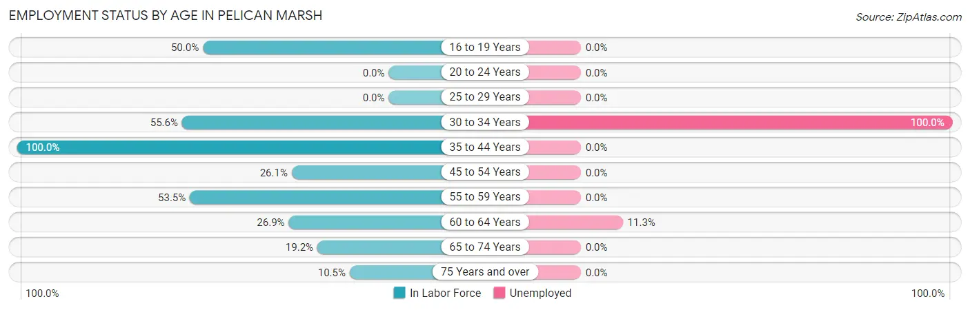 Employment Status by Age in Pelican Marsh