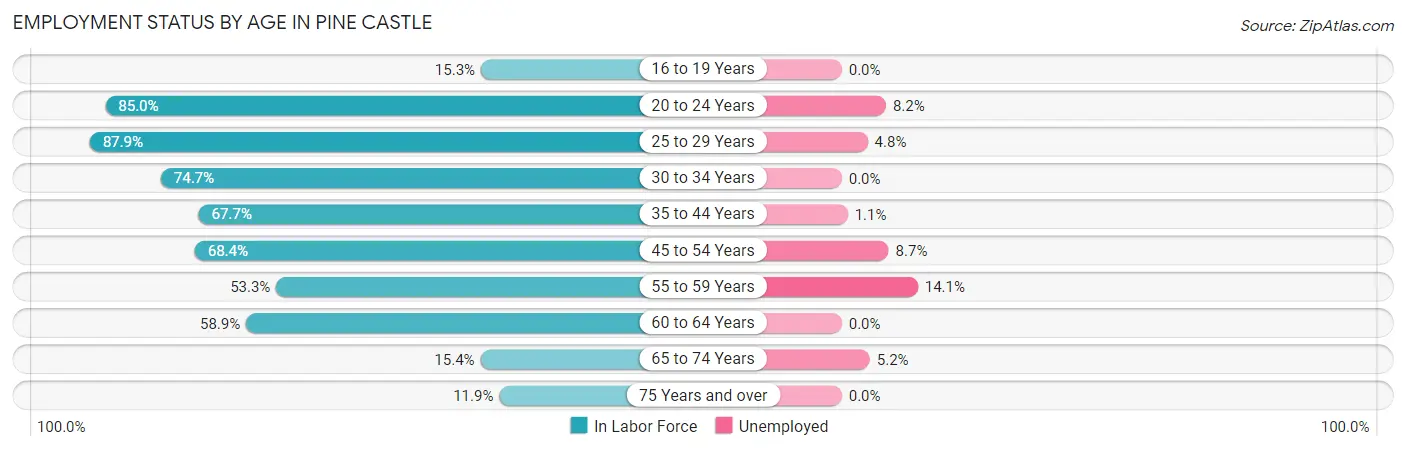 Employment Status by Age in Pine Castle