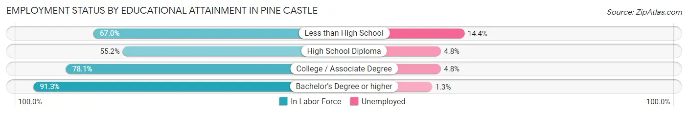 Employment Status by Educational Attainment in Pine Castle