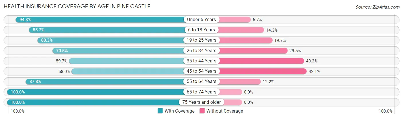 Health Insurance Coverage by Age in Pine Castle