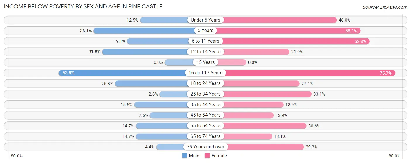 Income Below Poverty by Sex and Age in Pine Castle