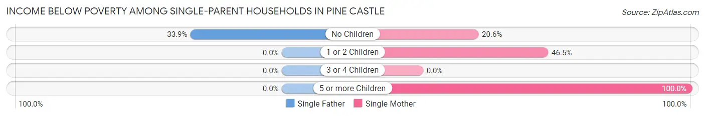 Income Below Poverty Among Single-Parent Households in Pine Castle