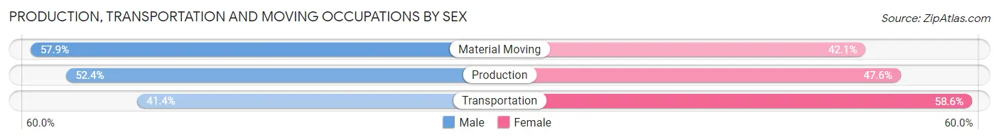 Production, Transportation and Moving Occupations by Sex in Pine Castle