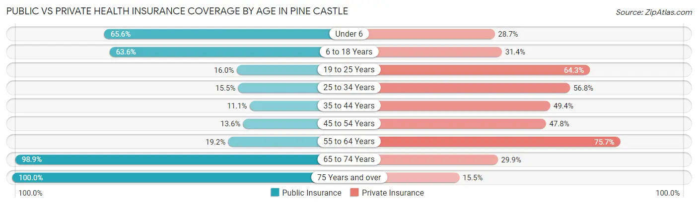 Public vs Private Health Insurance Coverage by Age in Pine Castle