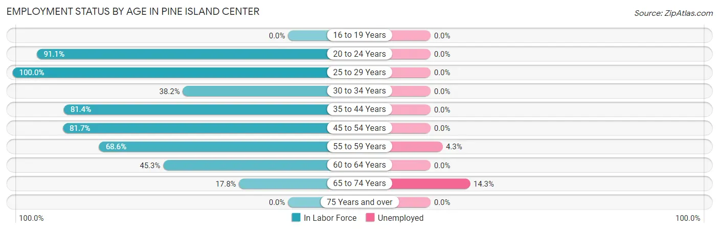 Employment Status by Age in Pine Island Center
