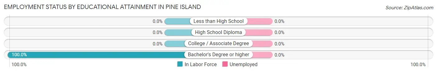 Employment Status by Educational Attainment in Pine Island