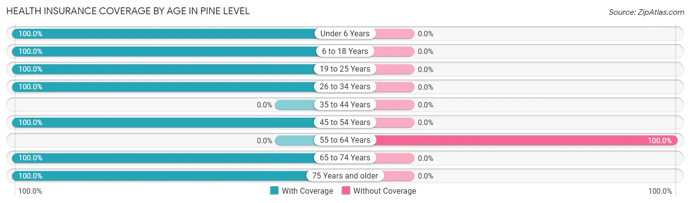 Health Insurance Coverage by Age in Pine Level