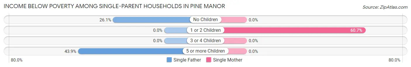 Income Below Poverty Among Single-Parent Households in Pine Manor