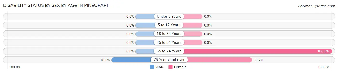 Disability Status by Sex by Age in Pinecraft
