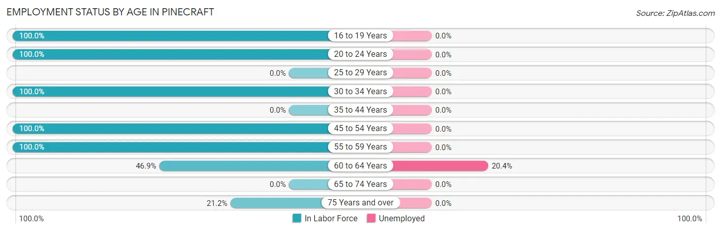 Employment Status by Age in Pinecraft