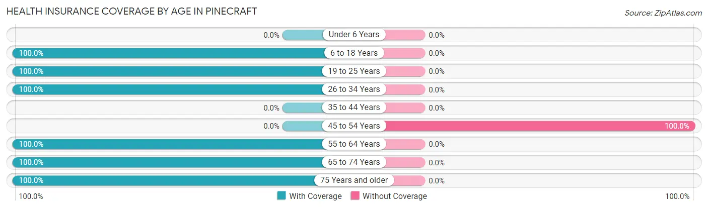 Health Insurance Coverage by Age in Pinecraft