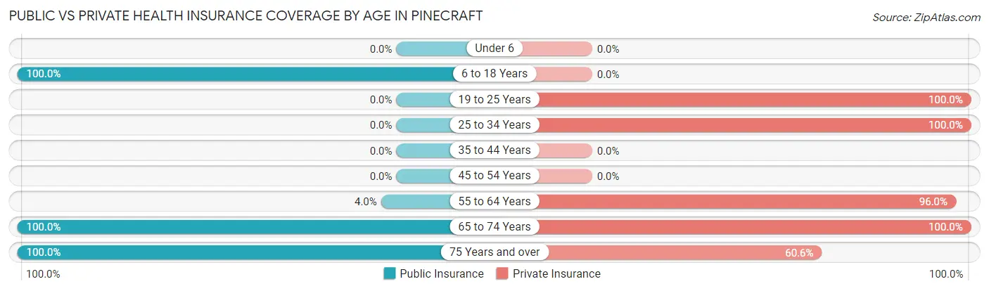 Public vs Private Health Insurance Coverage by Age in Pinecraft