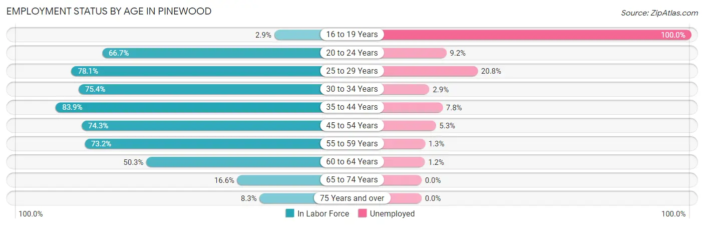 Employment Status by Age in Pinewood