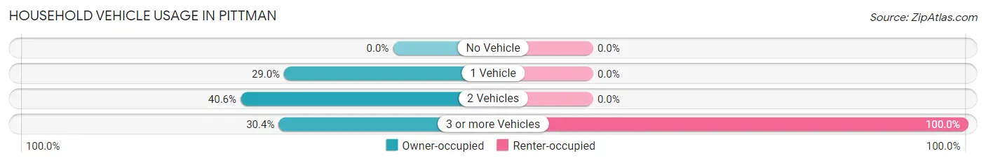 Household Vehicle Usage in Pittman