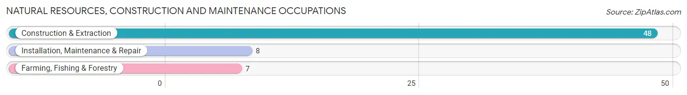 Natural Resources, Construction and Maintenance Occupations in Pomona Park